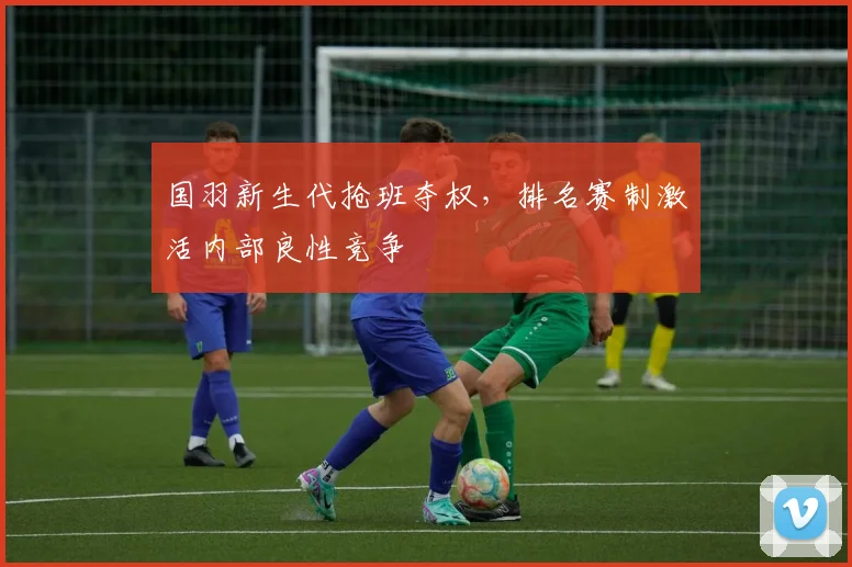 国羽新生代抢班夺权，排名赛制激活内部良性竞争